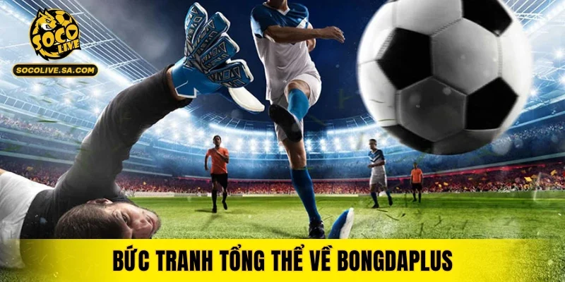 Bức tranh tổng thể về bongdaplus cùng hướng phát triển