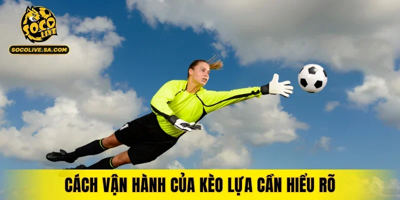 Cách vận hành của kèo lựa cần hiểu rõ