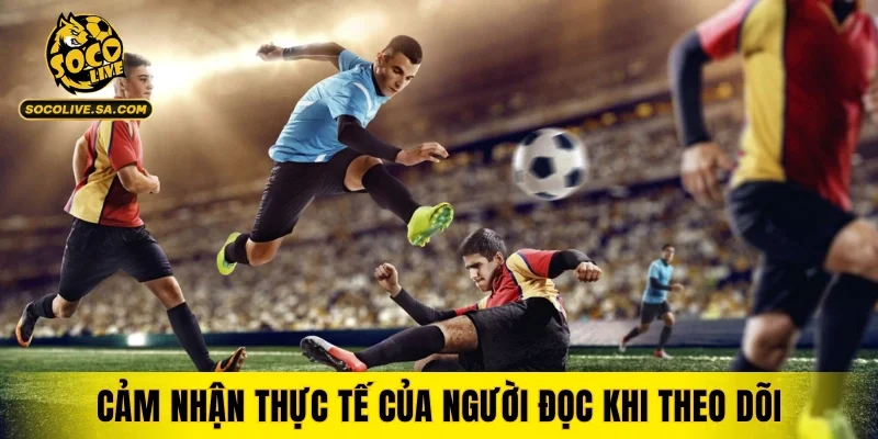 Cảm nhận thực tế của người đọc khi theo dõi hằng ngày