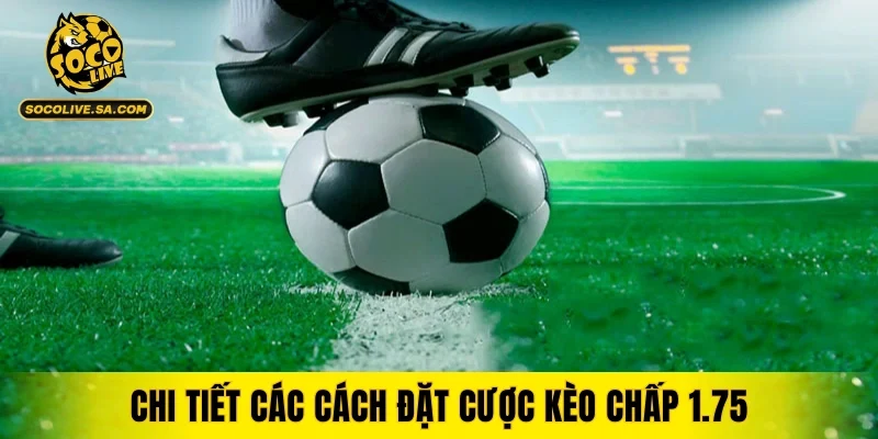 Chi tiết các cách đặt cược kèo chấp 1.75