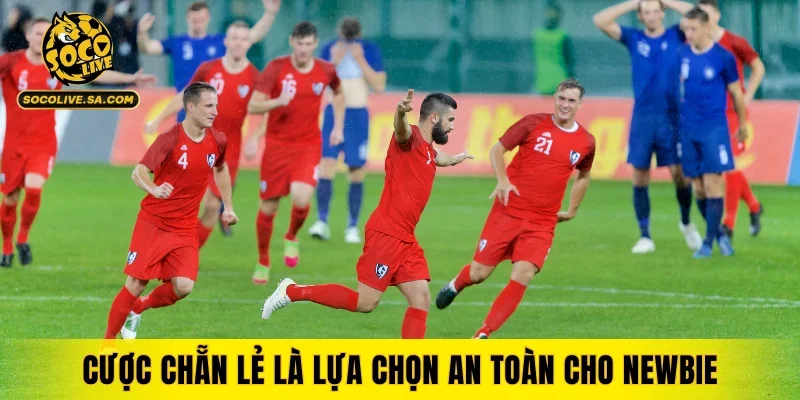 Cược chẵn lẻ là lựa chọn an toàn cho newbie