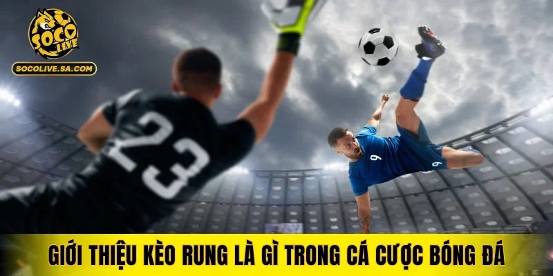 Giới thiệu kèo rung là gì trong cá cược bóng đá
