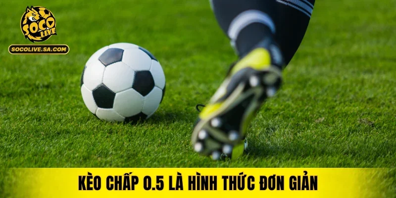 Kèo chấp 0.5 là hình thức đơn giản được yêu thích nhất hiện nay