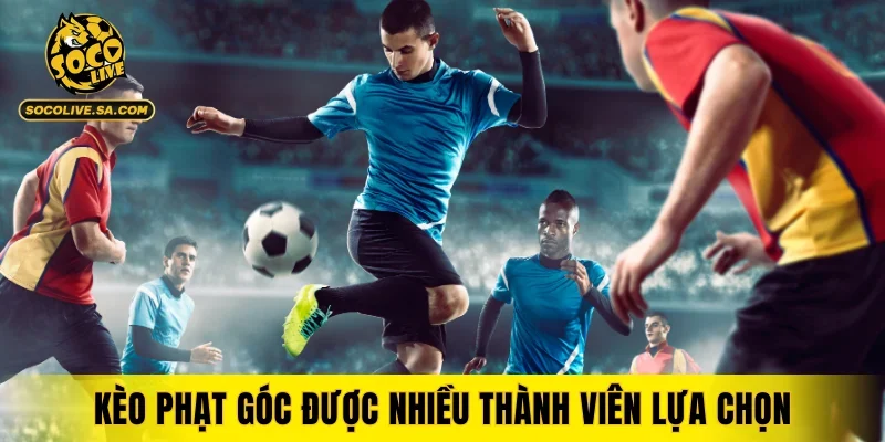 Kèo phạt góc được nhiều thành viên lựa chọn