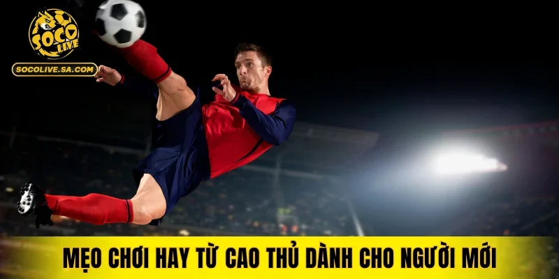 Mẹo chơi hay từ cao thủ dành cho người mới