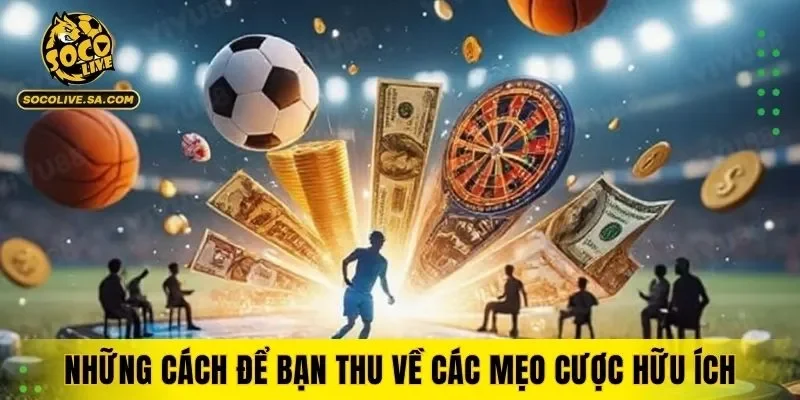 Những cách để bạn thu về các mẹo cược hữu ích