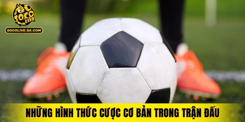 Những hình thức cược cơ bản trong trận đấu