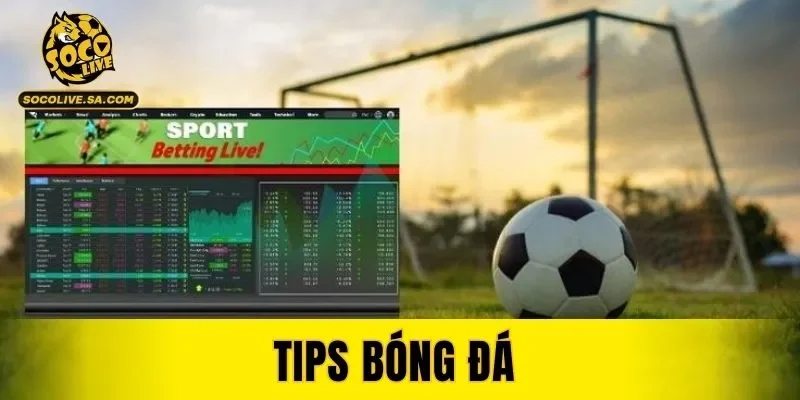 Tips Bóng Đá
